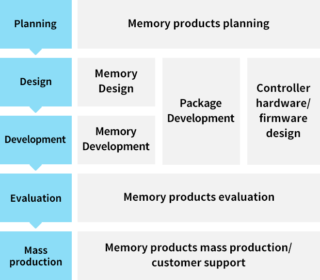 Memory Development