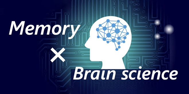 Memory × Brain science