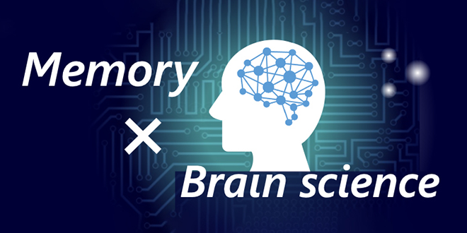 Mémoire × neuroscience