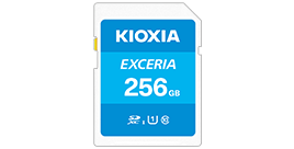 キオクシア　EXCERIA PLUS KSDH-A512G [512GB]